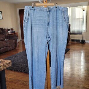 Forever 21 Premium Plus Size Jeans